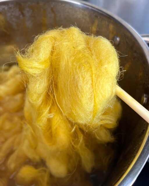 Et si la couleur du jour était… jaune soleil ? ☀️

Hier, avec ce beau soleil, j’ai profité d’un moment parfait pour une session de teinture végétale 🌞

Un jaune lumineux, entre citron et soleil, est né de plantes cueillies tout près d’ici, dans les parcs de ma commune.
Une couleur locale et vivante ; une nouvelle recette à noter dans mon carnet de teinture 🌿✨

La journée s’est poursuivie à l’atelier : aménagement, petits ajustements, et un aperçu des rouets qui m’accompagnent, chacun avec son caractère bien à lui 🌀
Puis retour aux commandes en cours, toujours avec le plaisir de travailler la laine de Gironde.

Si vous avez envie d’en savoir plus sur cette laine locale et de découvrir sa transformation, je vous donne rendez-vous ce dimanche après-midi à la Maison du Patrimoine Naturel du Créonnais 🌳
J’y ferai une démonstration dans le cadre d’une animation organisée par @terreetocean.

Pourquoi ne pas profiter du beau temps pour une balade et une rencontre autour de la laine ?

Toutes les infos sont sur le site Laine de Bordeaux, page Évènements (lien en bio) 🧶💛

#laine #teinturevégétale #artisanatlocal #lainefrançaise #créonnais #maisondupatrimoinenaturel #lainedebordeaux #tricotaddict #crochetaddict #filage