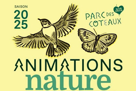 Affiche de la 3e édition des animations nature du Parc des Coteaux, représentant un oiseau en envol et un papillon