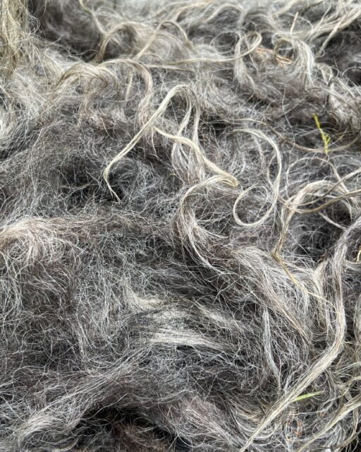 Envie de découvrir l’authenticité de la laine de Gironde ?
 Rendez-vous à la Fête Champêtre de @ville_de_bassens , où je serai présente pour vous proposer des ateliers d’initiation au filage 🧶

Vous y trouverez aussi à la vente :
	•	de la fibre 🐏
	•	des écheveaux
	•	des kits d’initiation au filage au fuseau
	•	et quelques autres surprises…

Alors, à samedi après-midi !

Plus d’infos en bio et sur le post de la Fête Champêtre.

#lainedebordeaux #ville_de_bassens