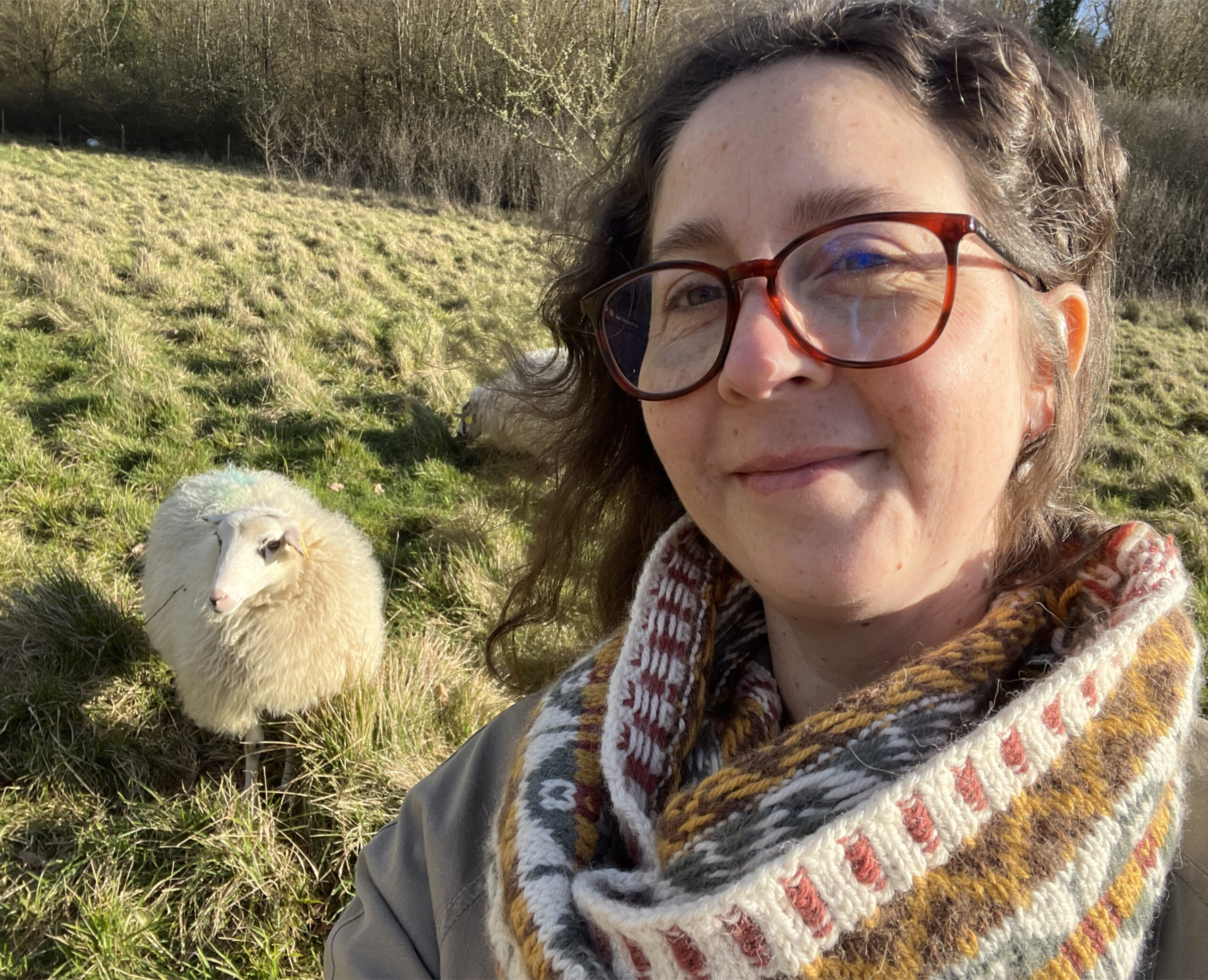 portrait de laine de Bordeaux avec en arrière-plan une brebis landaise blanche dans un pré