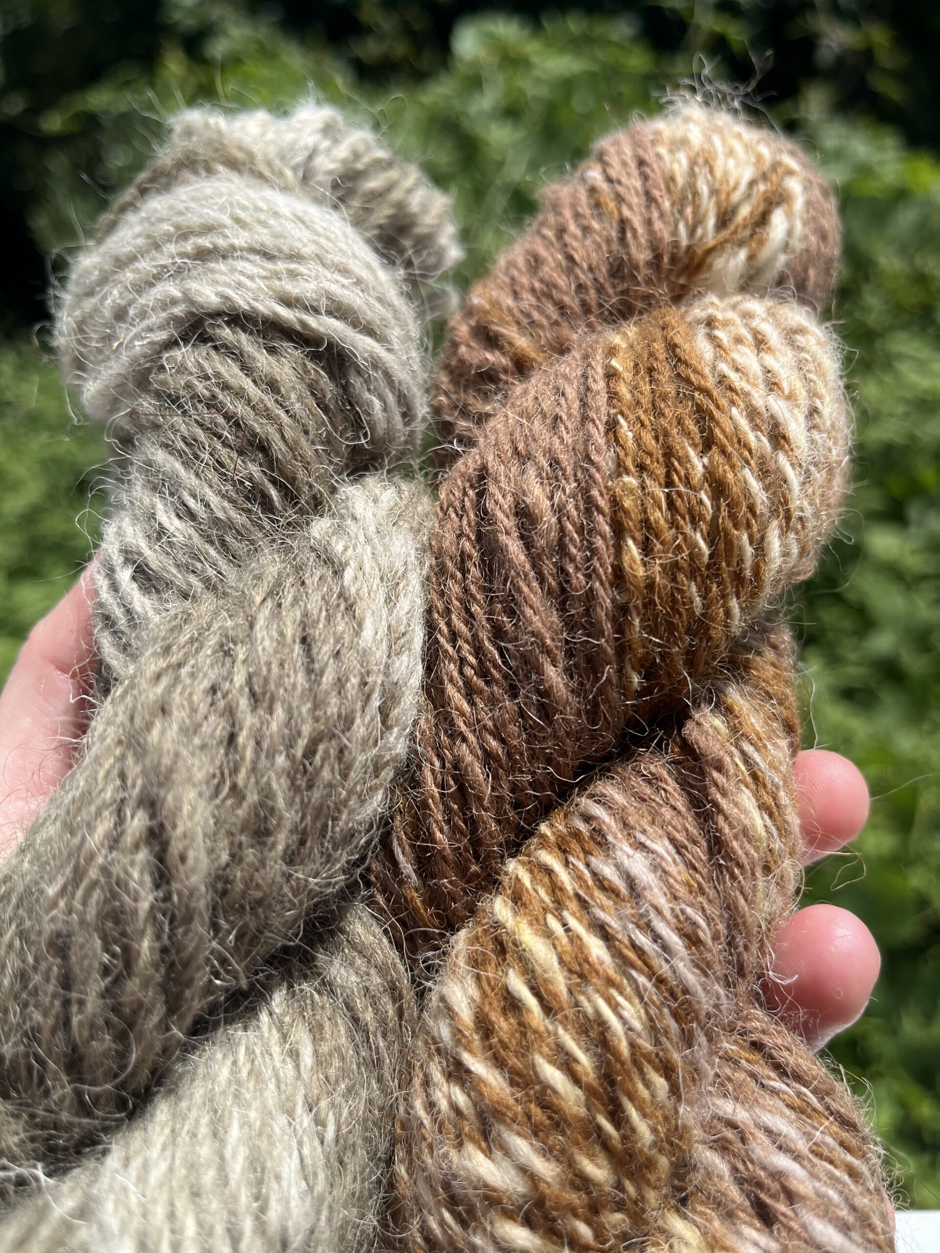 2 écheveaux de laine teints, l'un dans les tons vert pâle à kaki et l'autre dans les tons marrons, jaunes et bleu-rose